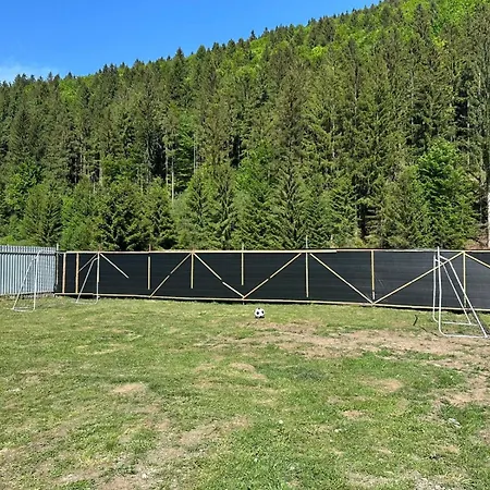 Frame&forest2