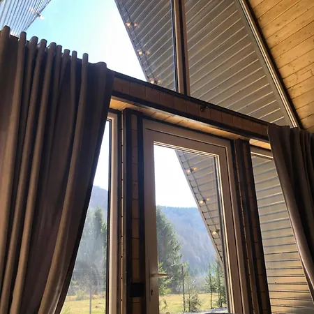 Frame&forest2